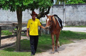 Пхукет прогулки на лошадях фото №11