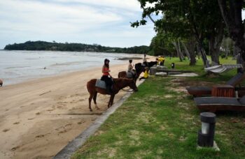 Пхукет прогулки на лошадях фото №2