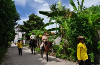 Пхукет прогулки на лошадях фото №8