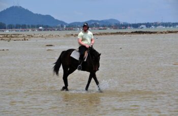 Пхукет прогулки на лошадях фото №6