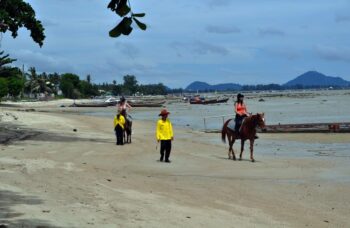 Пхукет прогулки на лошадях фото №5
