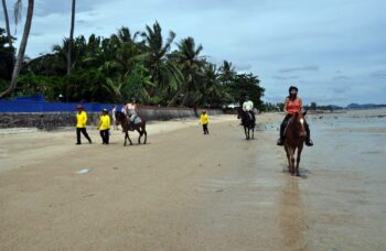Пхукет прогулки на лошадях фото №4