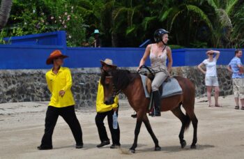 Пхукет прогулки на лошадях фото №3