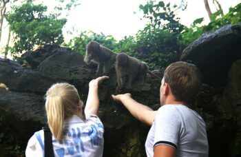 Пхукет, экскусия Као Лак фото №48