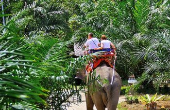 Пхукет, экскусия Као Лак фото №31