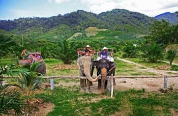Пхукет, экскусия Као Лак фото №30