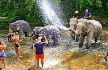 Пхукет, экскусия Као Лак фото №26