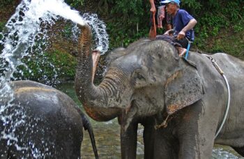 Пхукет, экскусия Као Лак фото №24