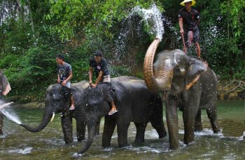 Пхукет, экскусия Као Лак фото №22