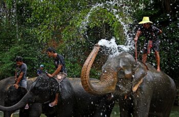 Пхукет, экскусия Као Лак фото №21