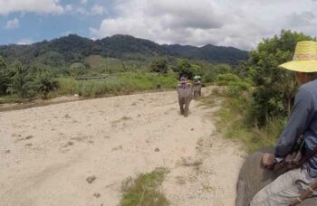 Пхукет, экскусия Као Лак фото №3