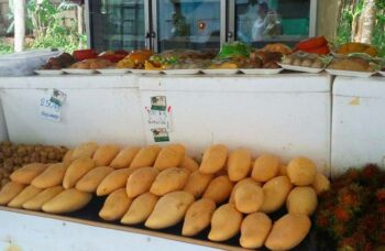 Пхукет, экскусия Као Лак фото №2