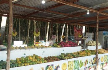 Пхукет, экскусия Као Лак фото №1