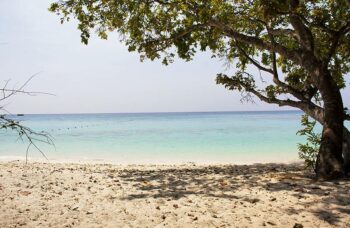 экскурсия с Пхукета на остров Ко Рок фото №21