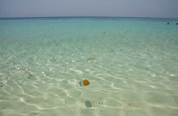 экскурсия с Пхукета на остров Ко Рок фото №6