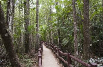 Краби 1 день по материку фото №21