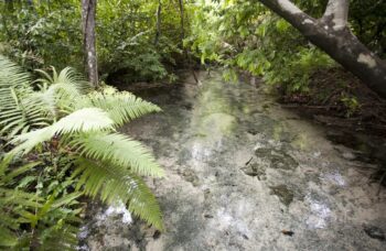 Краби 1 день по материку фото №17