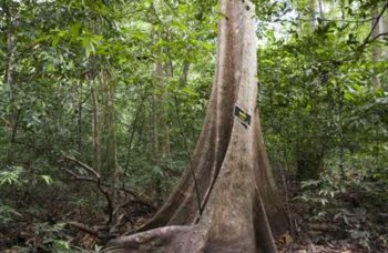 Краби 1 день по материку фото №16