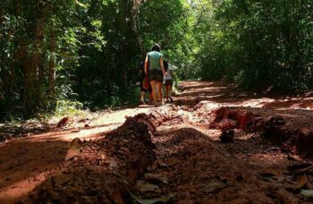 Краби 1 день по материку фото №7