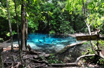 с Пхукета на Краби 2 дня фото №3