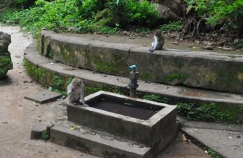 с Пхукета на Краби 2 дня фото №20