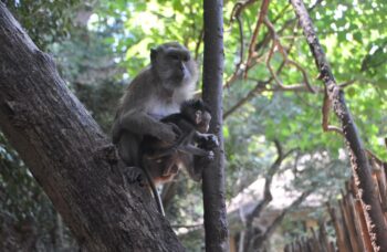 Острова Краби фото №10