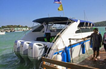 __alt__ фото №46