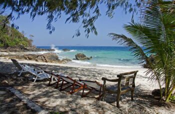 __alt__ фото №37