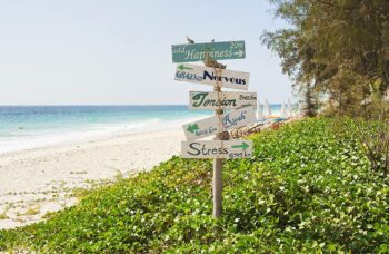 __alt__ фото №36