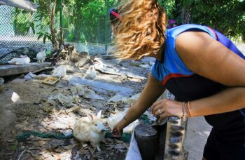 __alt__ фото №32