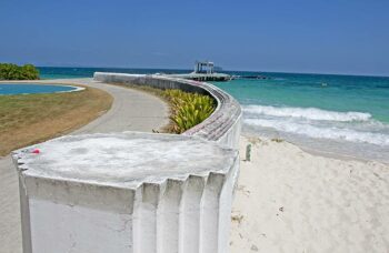 __alt__ фото №11