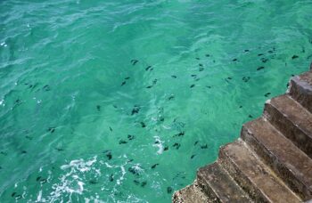 __alt__ фото №43