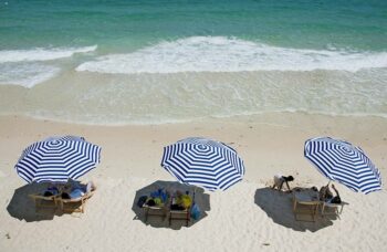 __alt__ фото №3