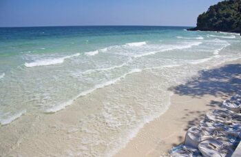 __alt__ фото №2