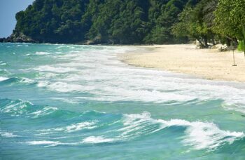 __alt__ фото №41