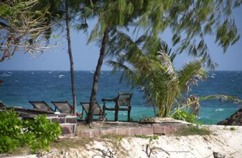 __alt__ фото №38