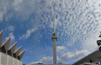 Обзорная экскурсия фото №44