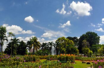 Обзорная экскурсия фото №43