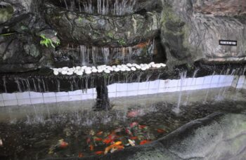 Обзорная экскурсия фото №6