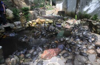 Обзорная экскурсия фото №38