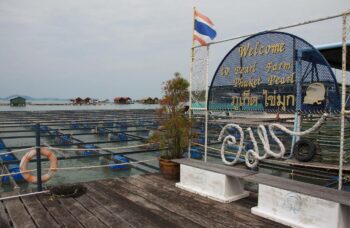 Магазин и ферма жемчуга Phuket Pearl фото №22