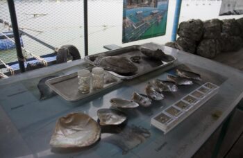 Магазин и ферма жемчуга Phuket Pearl фото №19