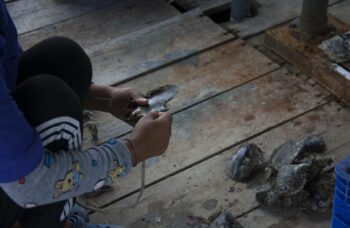 Магазин и ферма жемчуга Phuket Pearl фото №16