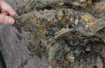 Магазин и ферма жемчуга Phuket Pearl фото №14