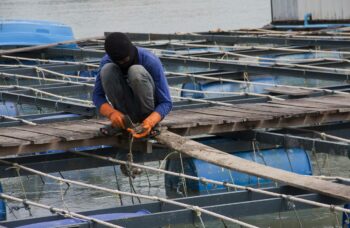 Магазин и ферма жемчуга Phuket Pearl фото №8