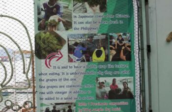 Магазин и ферма жемчуга Phuket Pearl фото №7