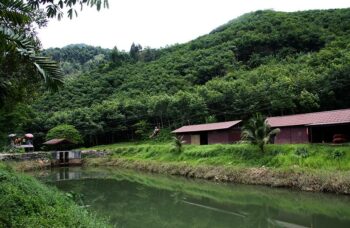 Рафтинг с Пхукета фото №53