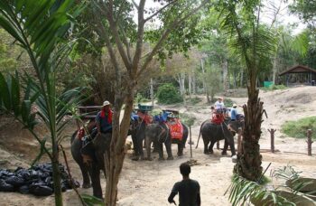 Рафтинг с Пхукета фото №49