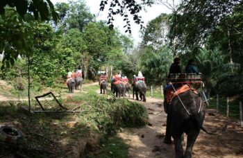 Рафтинг с Пхукета фото №46