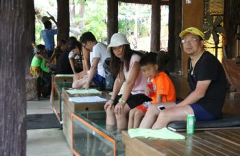 Рафтинг с Пхукета фото №43